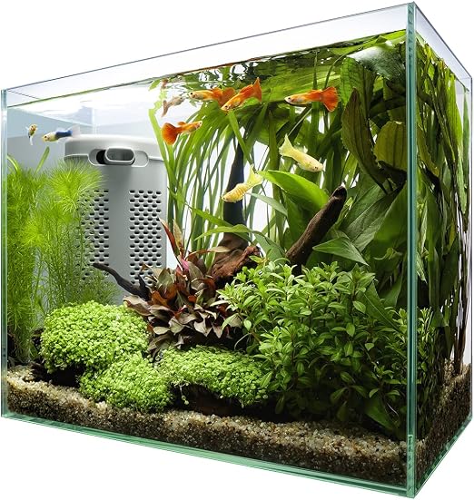 メダカ 水槽 10Lサイズ×6個 底ろ過式 砂は付いていません メダカ 水槽 10Lサイズ×6個 底ろ過式 砂は付いていません